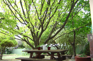 Entertaining area (2005-02-25)