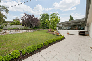 Rear Garden (2011-11-10)