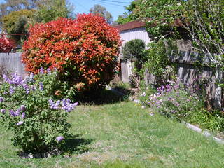Backyard (2006-10-03)