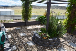 Side yard (2013-10-10)