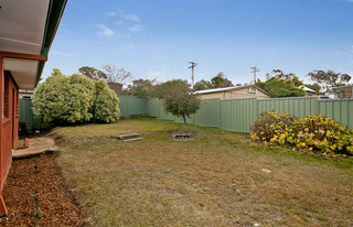 Backyard (2013-06-18)