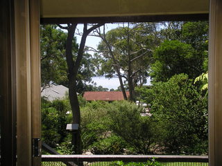 View (2007-03-29)