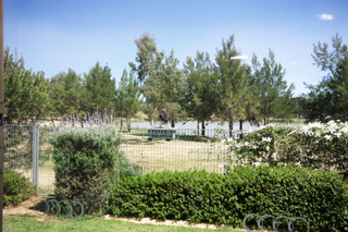 View (2009-11-17)