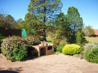 Backyard (2010-03-22)