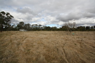 Standard Photo (2011-09-12)