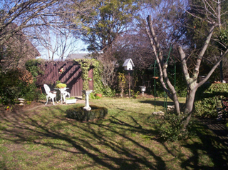 Backyard (2005-07-21)