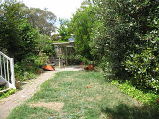 Rear Garden (2006-12-08)