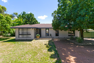 Main Photo (2012-12-06)
