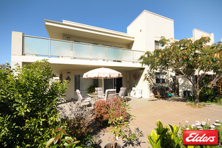 Garden (2010-05-05)