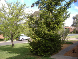 View of Street (2014-03-13)