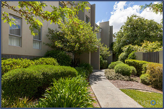 Garden Surrounds (2012-11-09)
