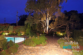 Garden area (2010-09-16)