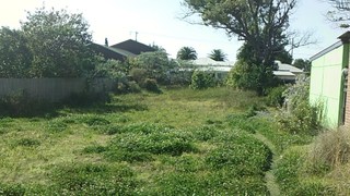 (2015-06-06)