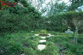Garden and pond (2007-06-22)