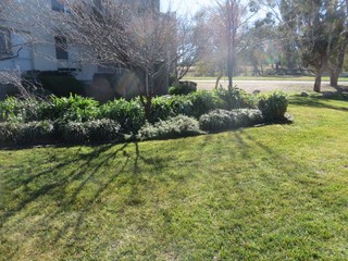 Common gardens (2017-06-30)