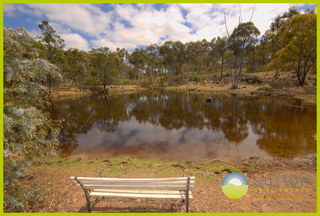 Dam (2012-12-07)