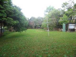Backyard (2005-10-20)
