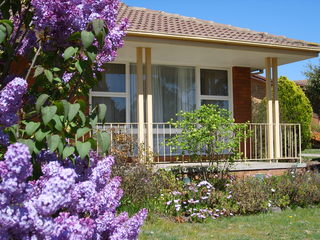 Front garden (2006-10-03)