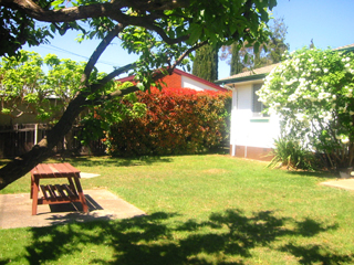 Rear yard (2002-10-29)