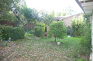 Rear yard (2004-06-21)
