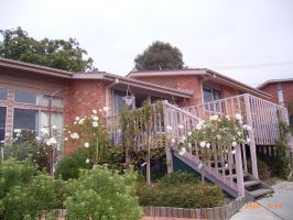 Main (2006-06-09)