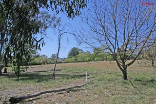 Park (2007-10-19)