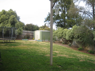 Back Garden (2012-09-12)