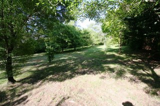 Standard Photo (2011-11-08)