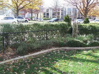Frontyard/Garden (2010-04-29)