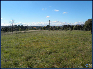 Possible House Site (2012-04-19)