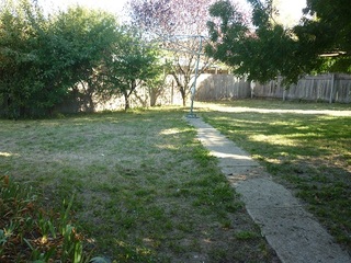 Backyard (2016-02-02)