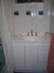 Bathroom (2009-11-02)