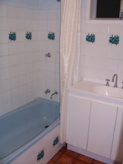 Bathroom (2009-11-02)