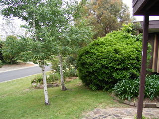 Front view (2005-11-24)