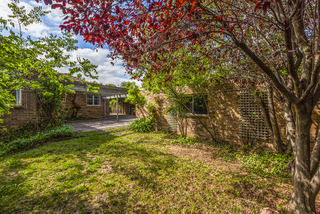 Backyard (2015-09-29)