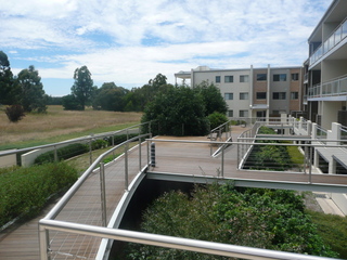 Deck (2011-01-27)