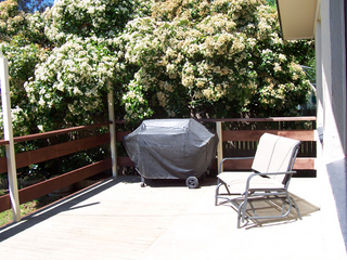 Entertaining Deck (2005-11-03)