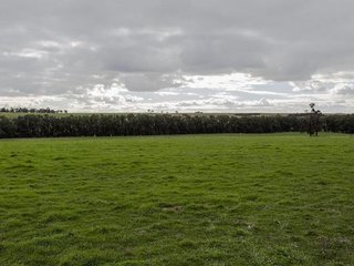 (2016-01-13)