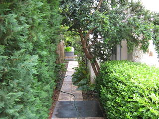 Garden (2013-02-15)