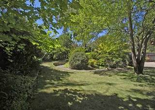 Rear garden (2005-12-22)