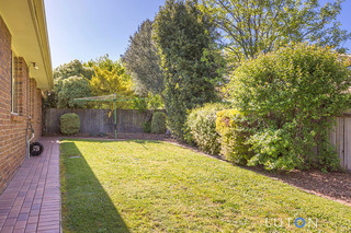 Backyard (2016-11-03)
