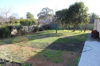 Backyard (2015-06-23)