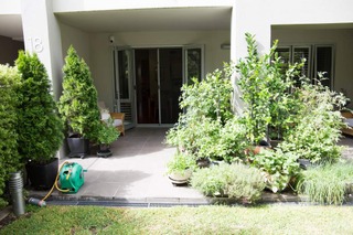 North facing courtyard (2016-01-28)