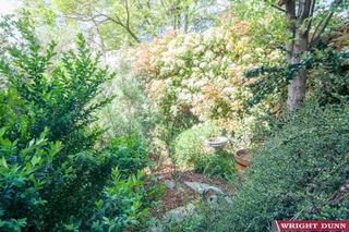Garden (2016-10-21)