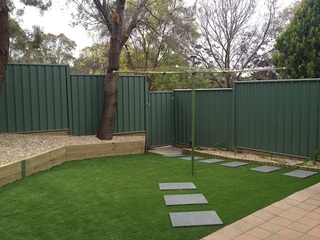 Backyard (2015-06-15)