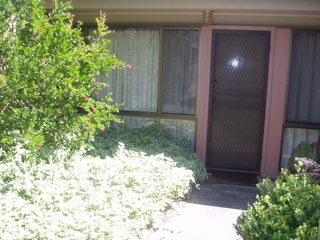 Front (2010-07-09)