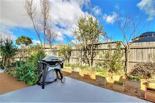 Rear Courtyard (2) (2019-08-22)