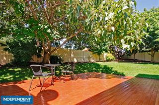 Deck/Paulownia tree (2012-03-07)