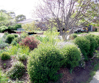 Front garden (2005-10-12)