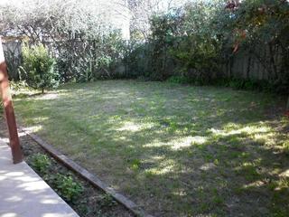 Backyard (2016-08-25)